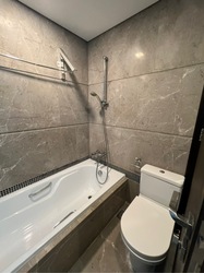 The Vision (D5), Condominium #490310851